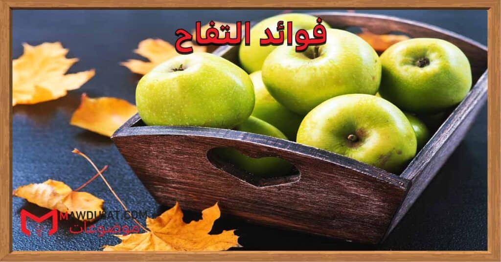 فوائد التفاح