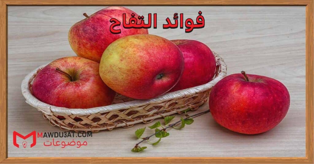 فوائد التفاح