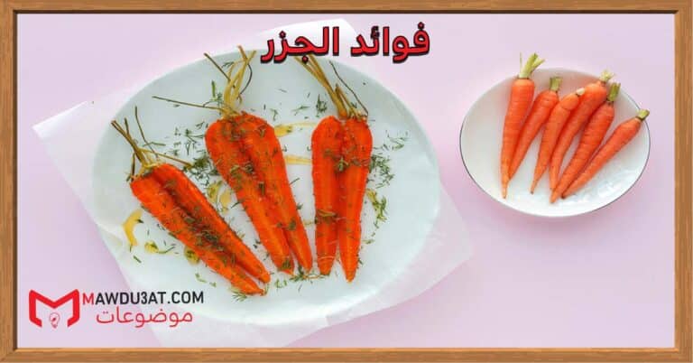 فوائد الجزر