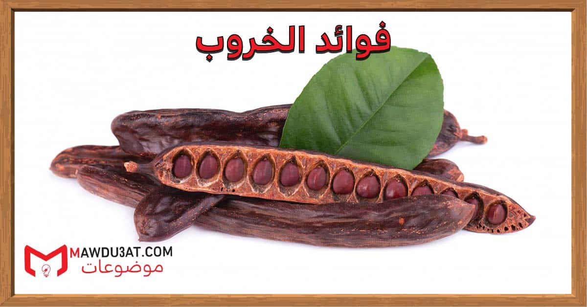 فوائد الخروب