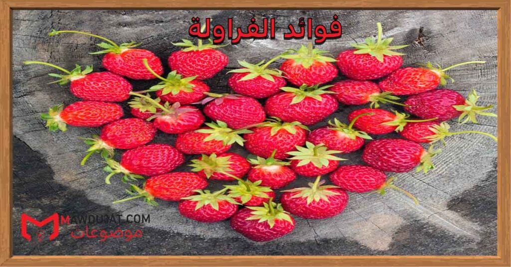 فوائد الفراولة